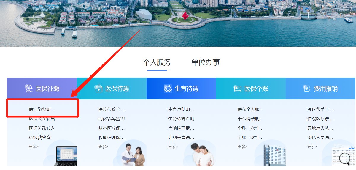 青岛居民医保缴费明细查询全指南（入口 操作指引）
